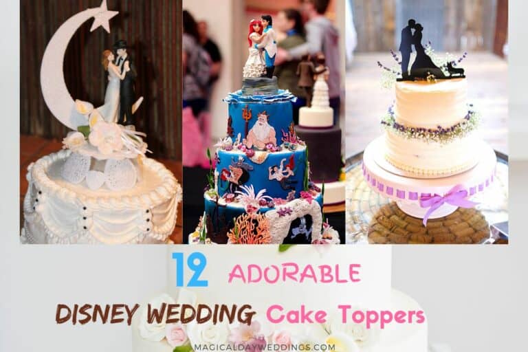 12-Adorable-Disney-Wedding-Cake-Toppers