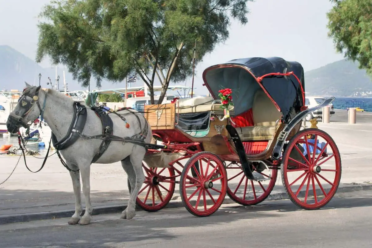 Horse And Carriage Proposal