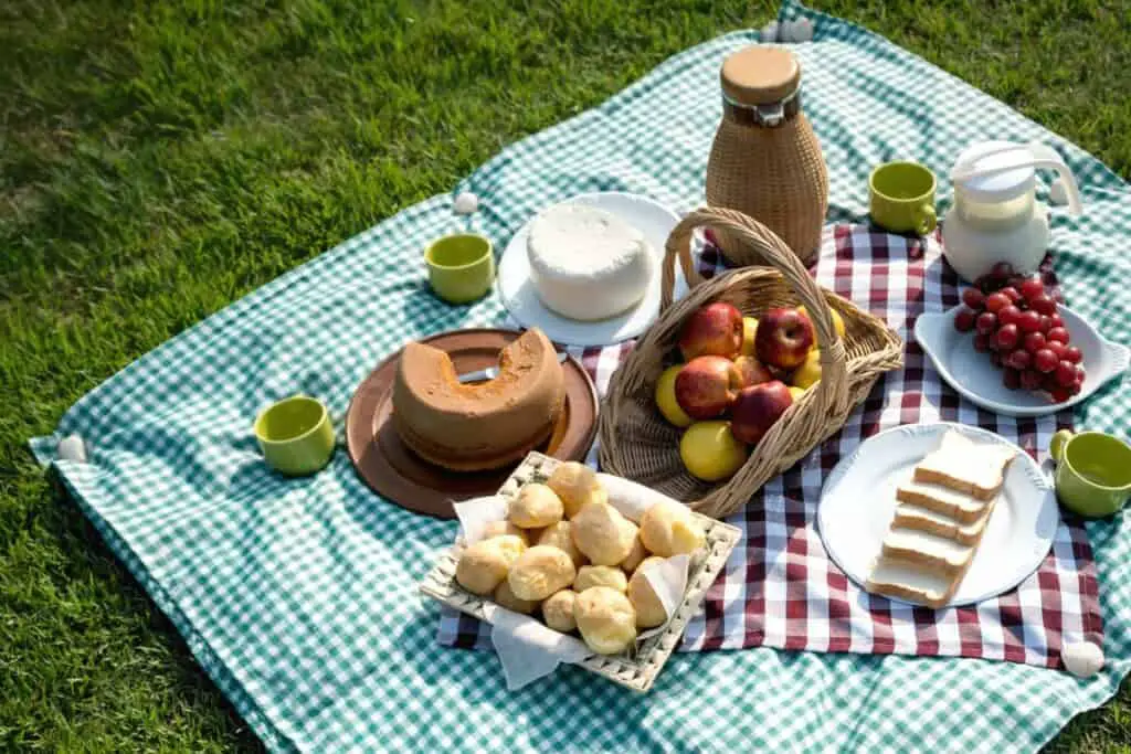 Picnic Proposal