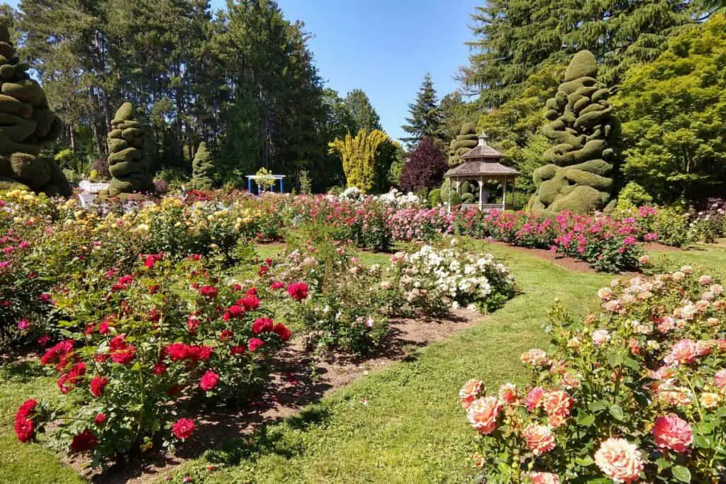 Rose Garden Proposal
