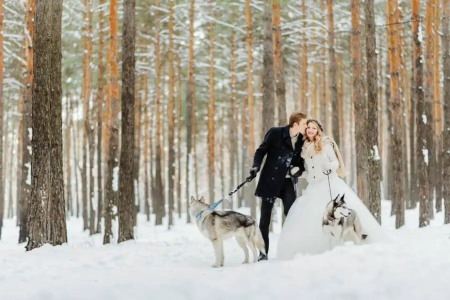 Astonishing Frozen Inspired Wedding Ideas